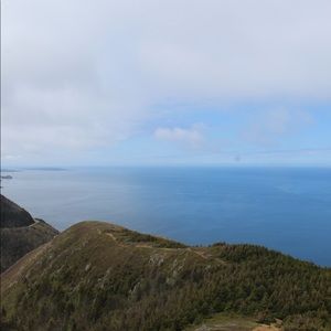 Meet your Posher, Ally